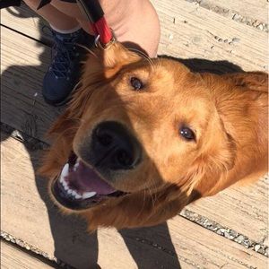 Meet your Posher, Fer